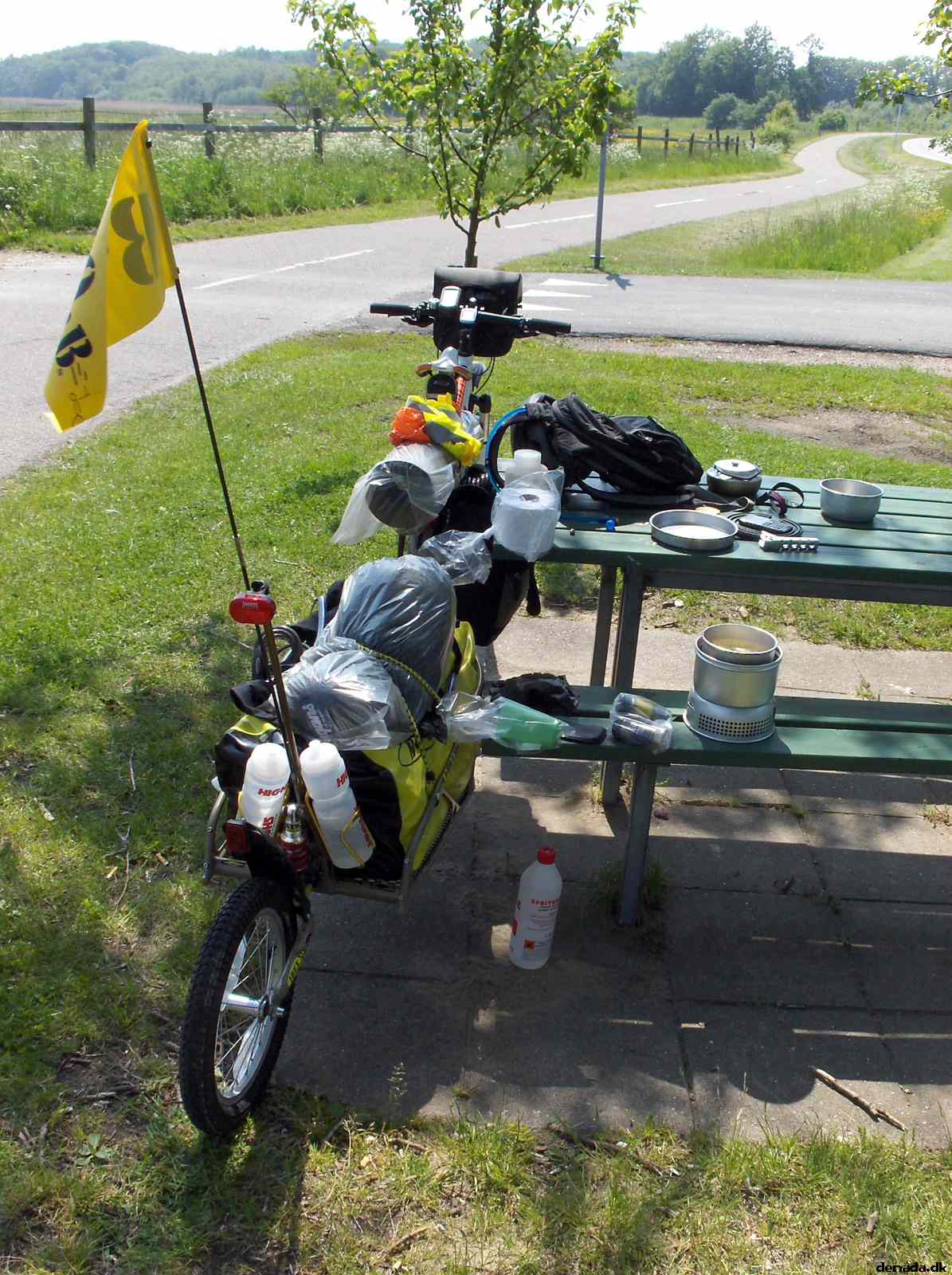 * Image 12