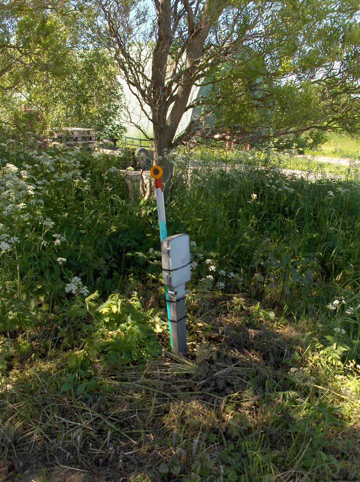 * Image 62
