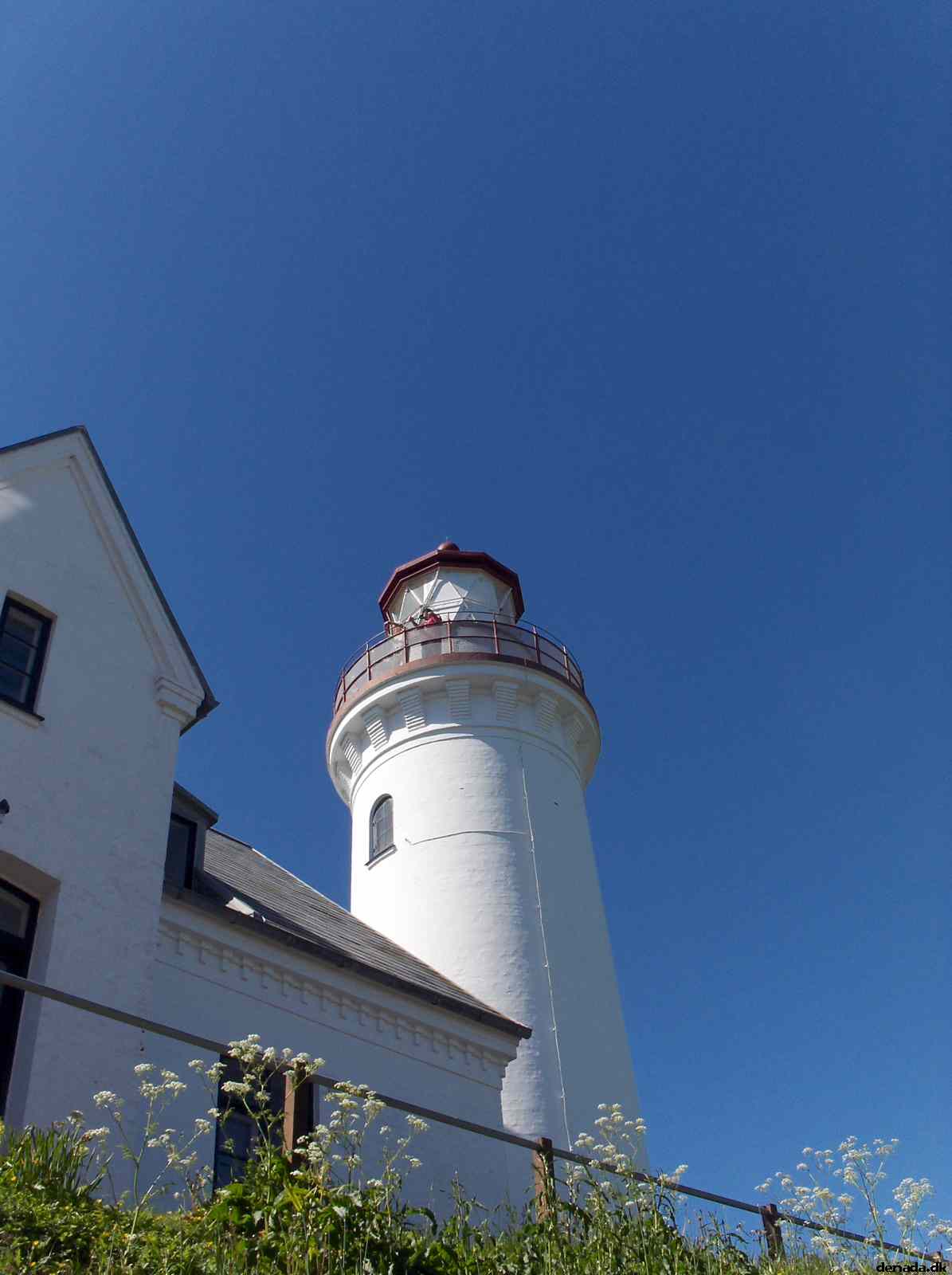 * Image 106