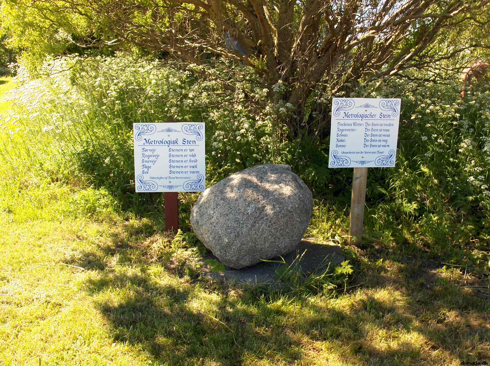 * Image 61