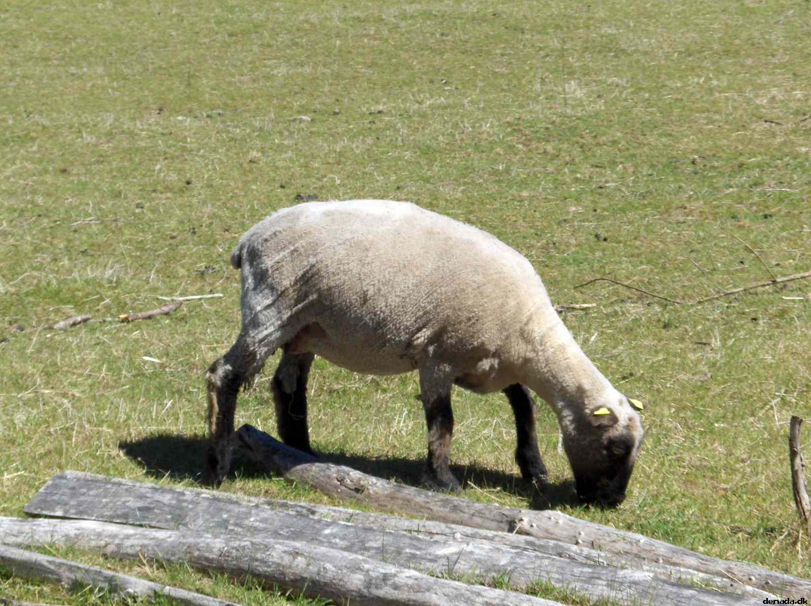 * Image 70
