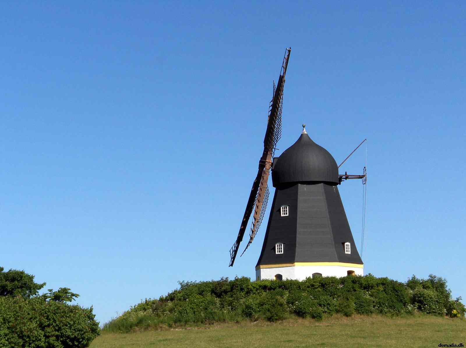 * Image 105