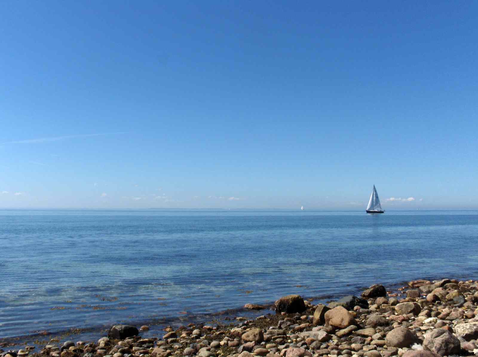 * Image 109