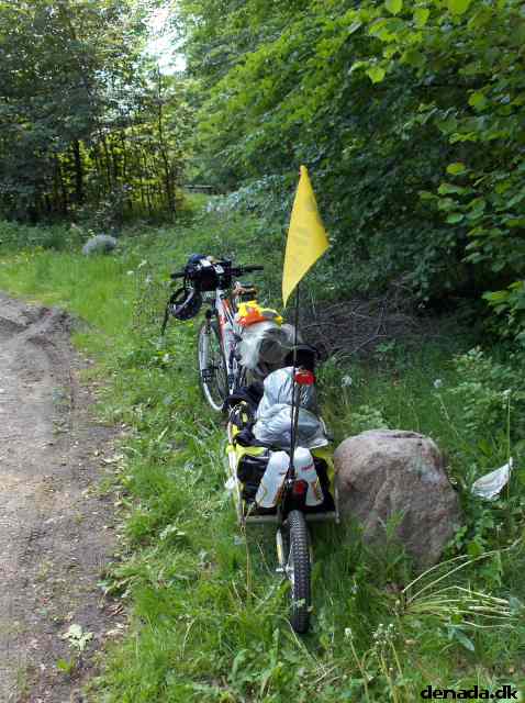 * Image 10