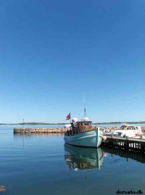 * Image 81