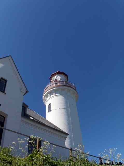 * Image 106