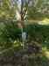 20110603_114126.jpg - 2011:06:03 11:41:26
