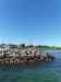 20110603_160732.jpg - 2011:06:03 16:07:32