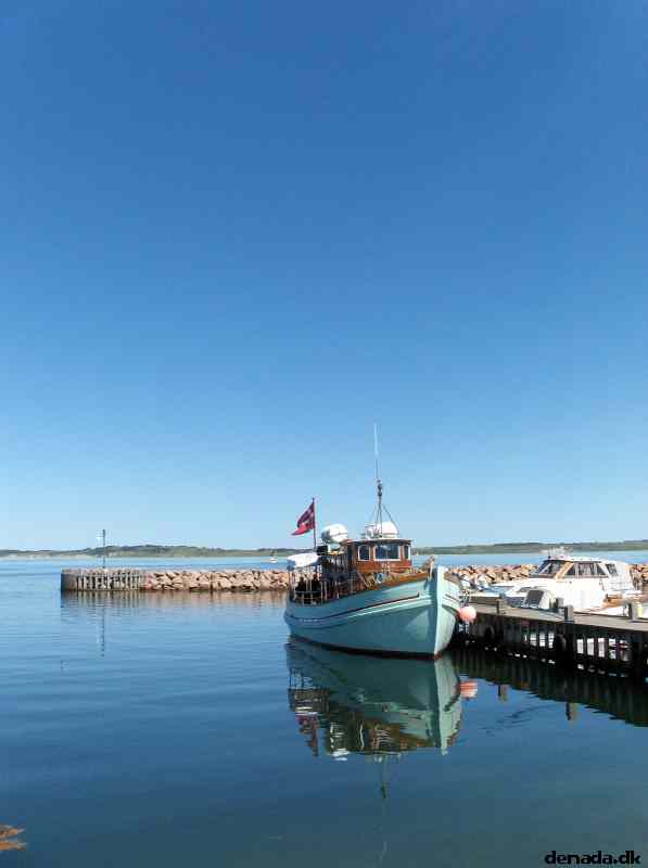 * Image 81
