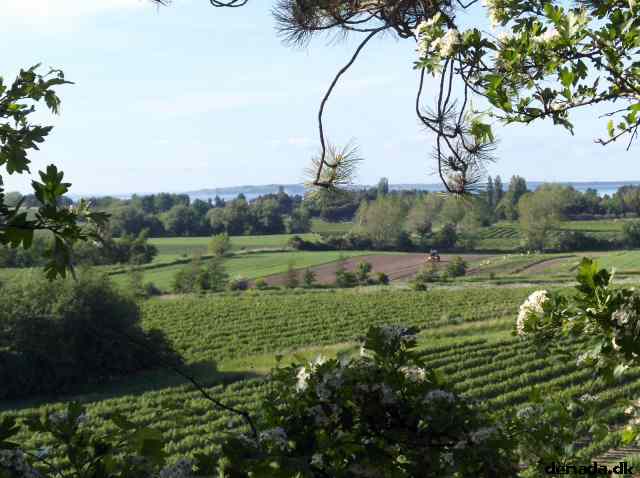 * Image 49