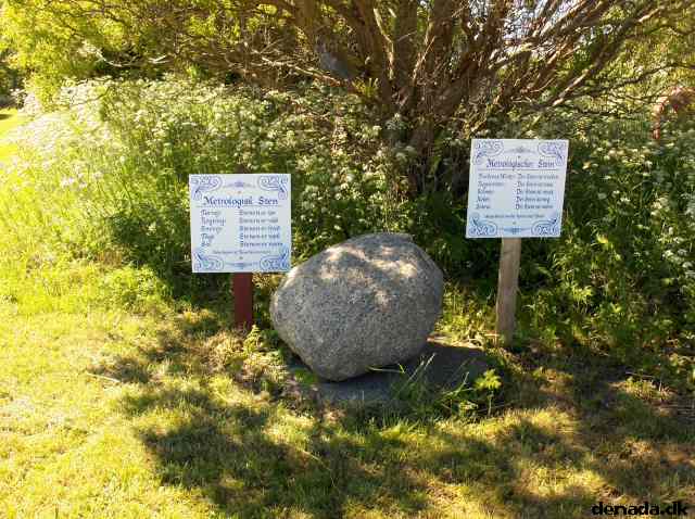 * Image 61