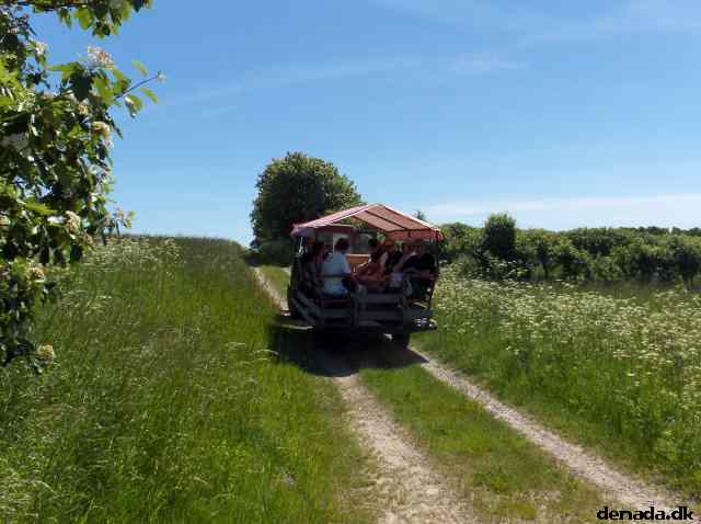 * Image 68