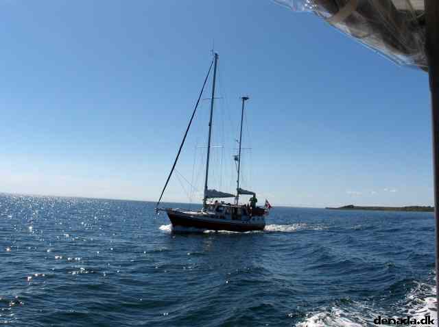 * Image 91