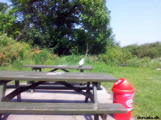 * Image 140