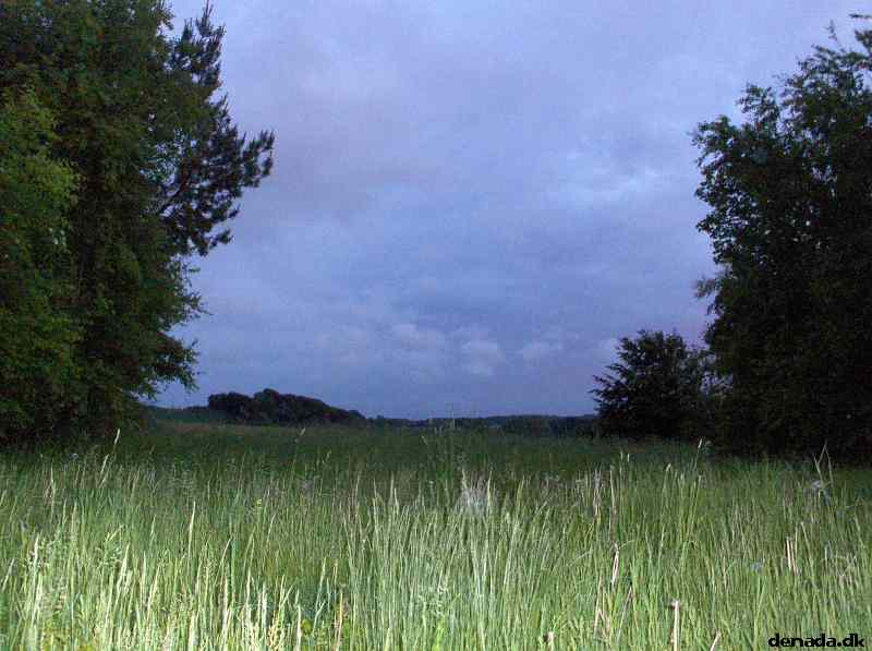 * Image 17