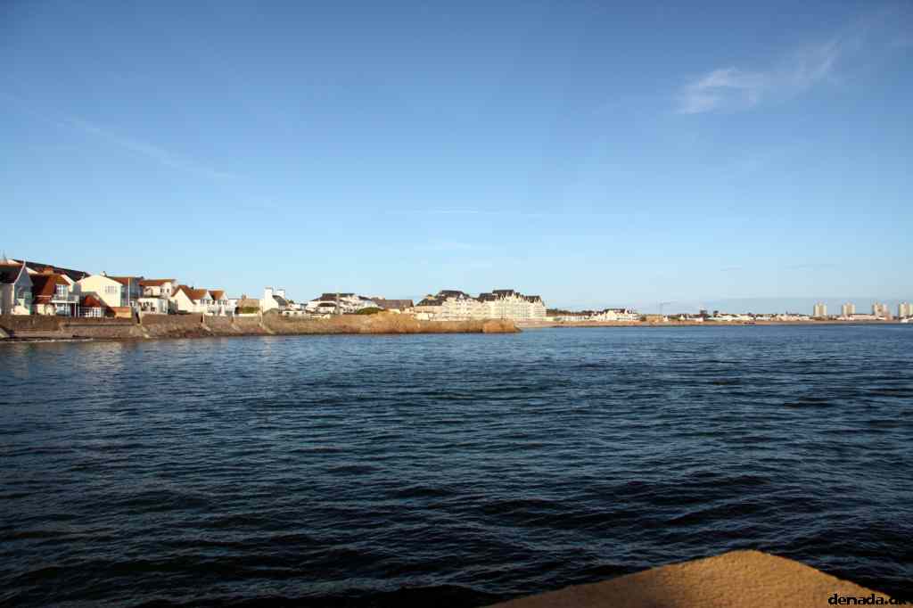 * Image 10