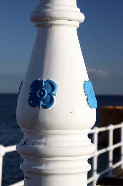 * Image 6
