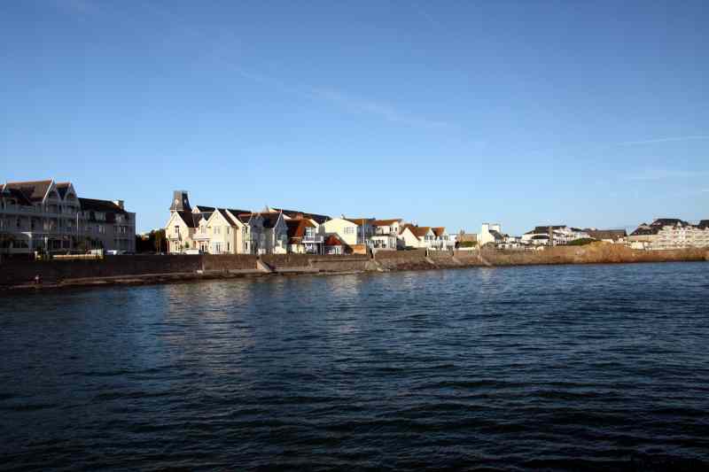 * Image 11