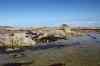 201108300220m.jpg - 2011:08:30 13:14:38