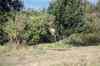 201108300331m.jpg - 2011:08:30 16:29:07