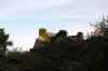 201108300337m.jpg - 2011:08:30 16:57:00