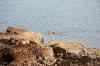 201108300348m.jpg - 2011:08:30 17:09:28