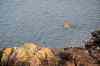 201108300356m.jpg - 2011:08:30 17:10:06