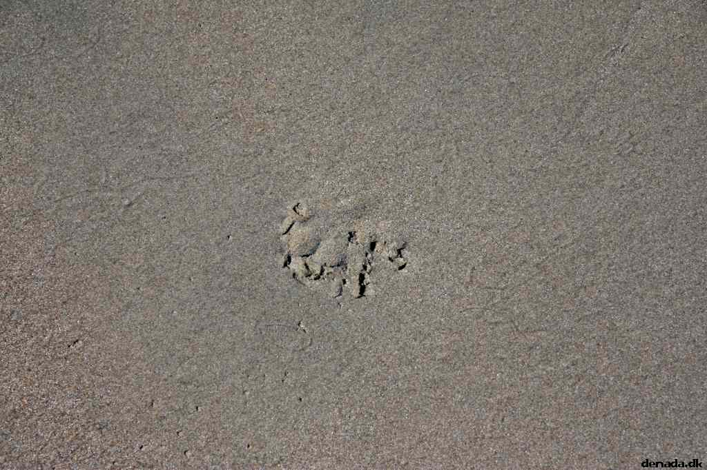 * Image 40