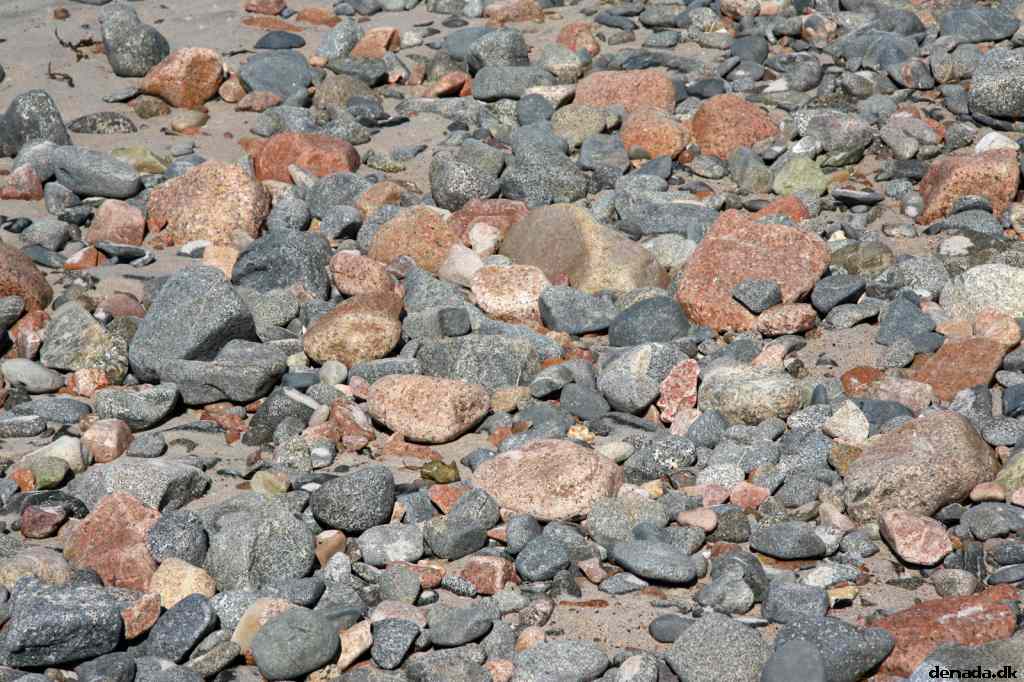 * Image 41