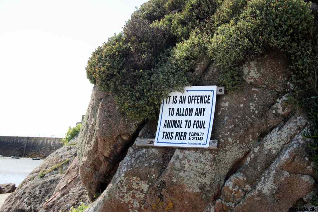 * Image 48