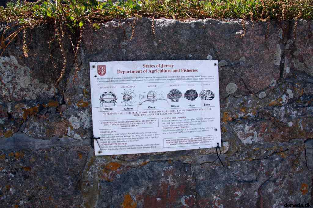 * Image 76