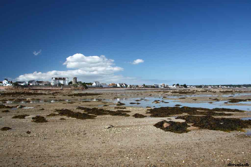* Image 80