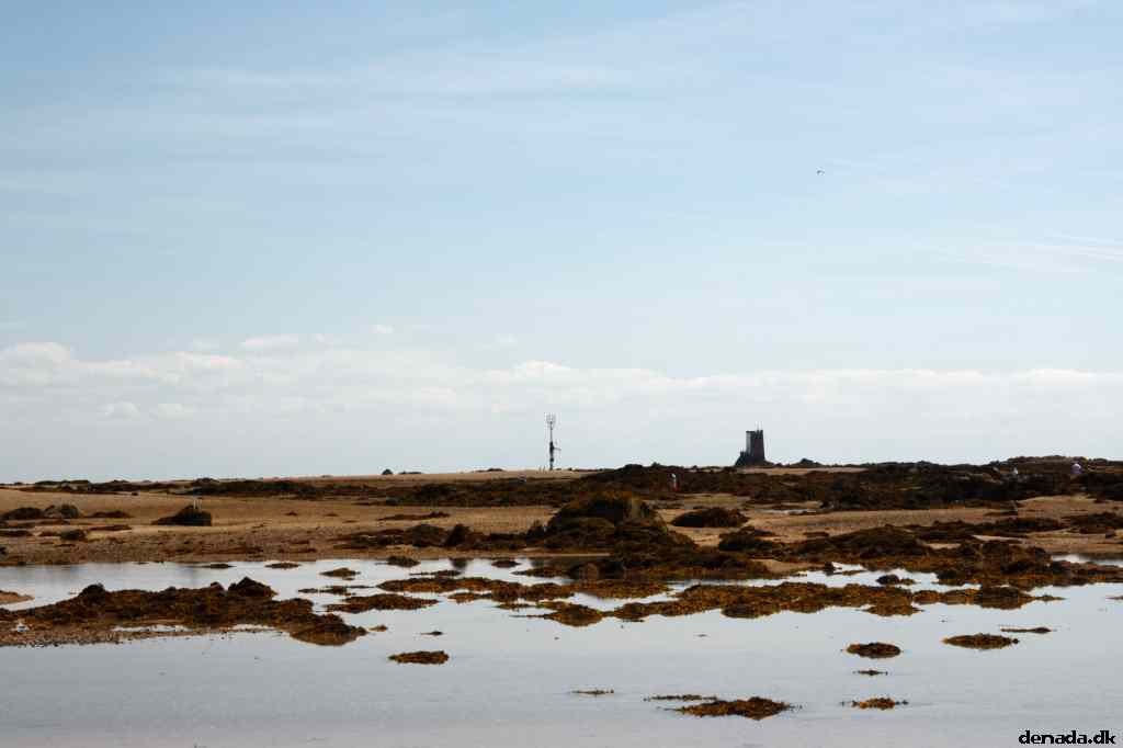 * Image 90