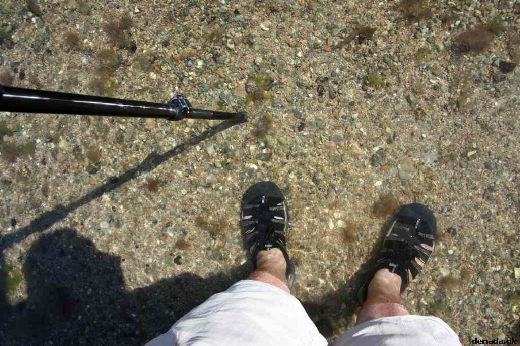 * Image 96