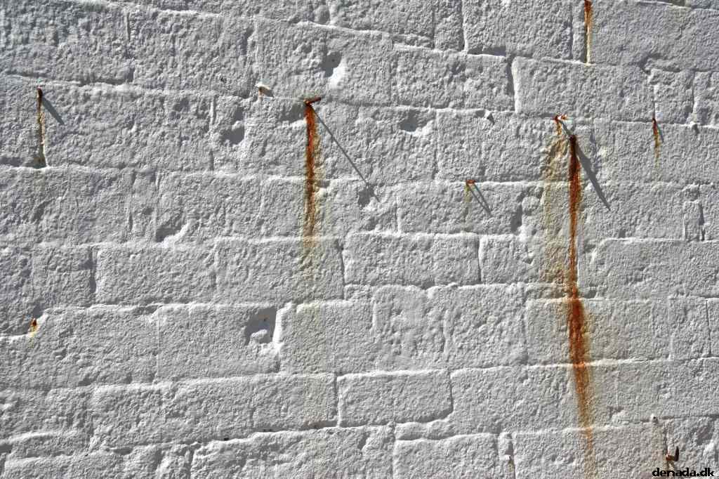 * Image 118