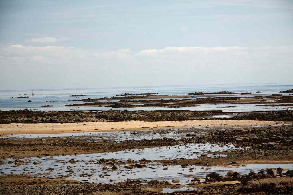 * Image 123