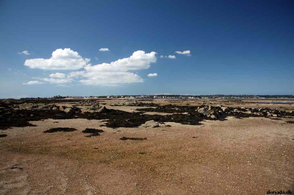 * Image 135