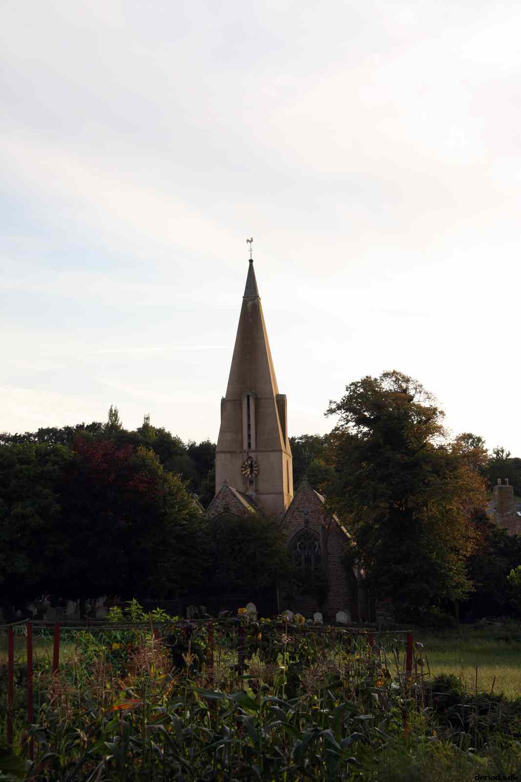 * Image 183