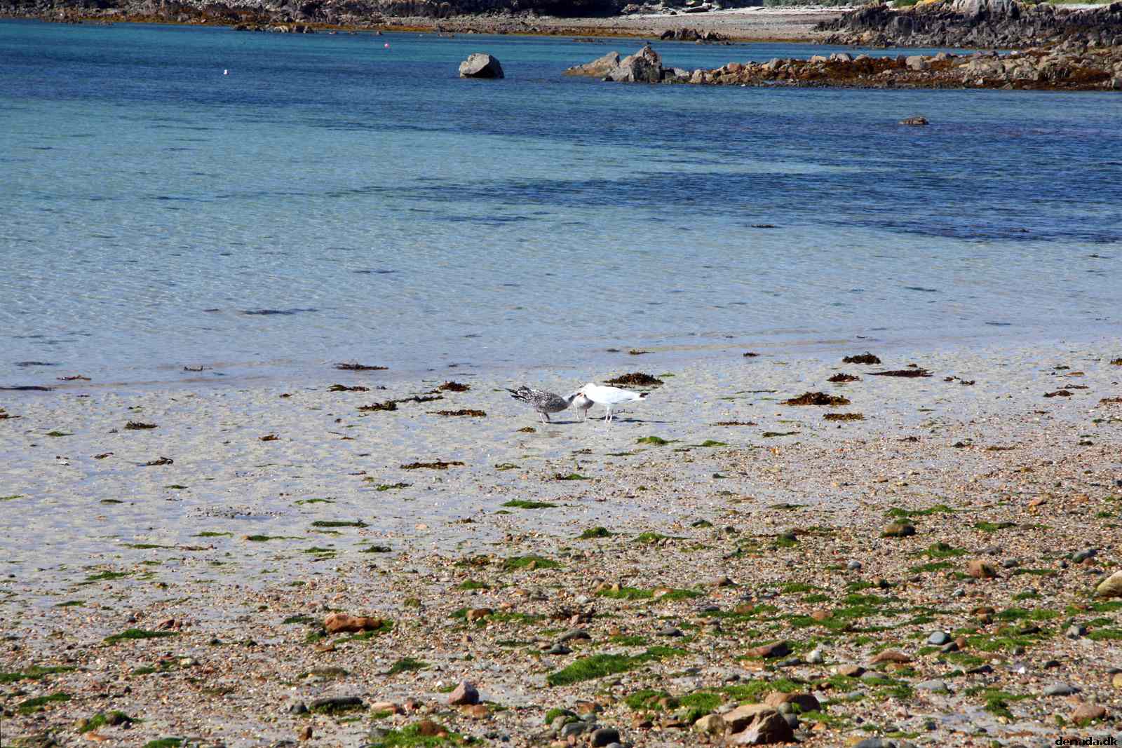 * Image 36