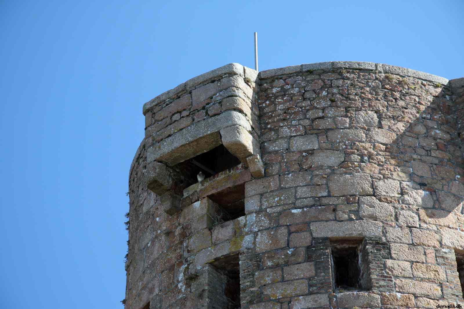 * Image 38