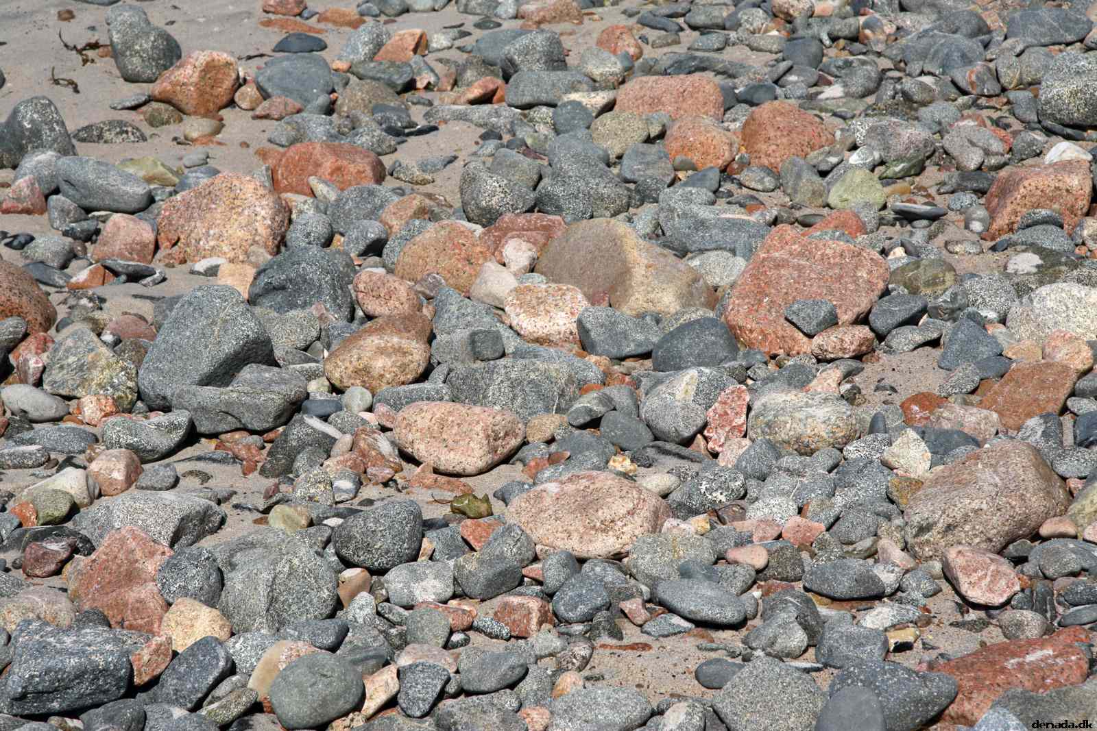 * Image 41