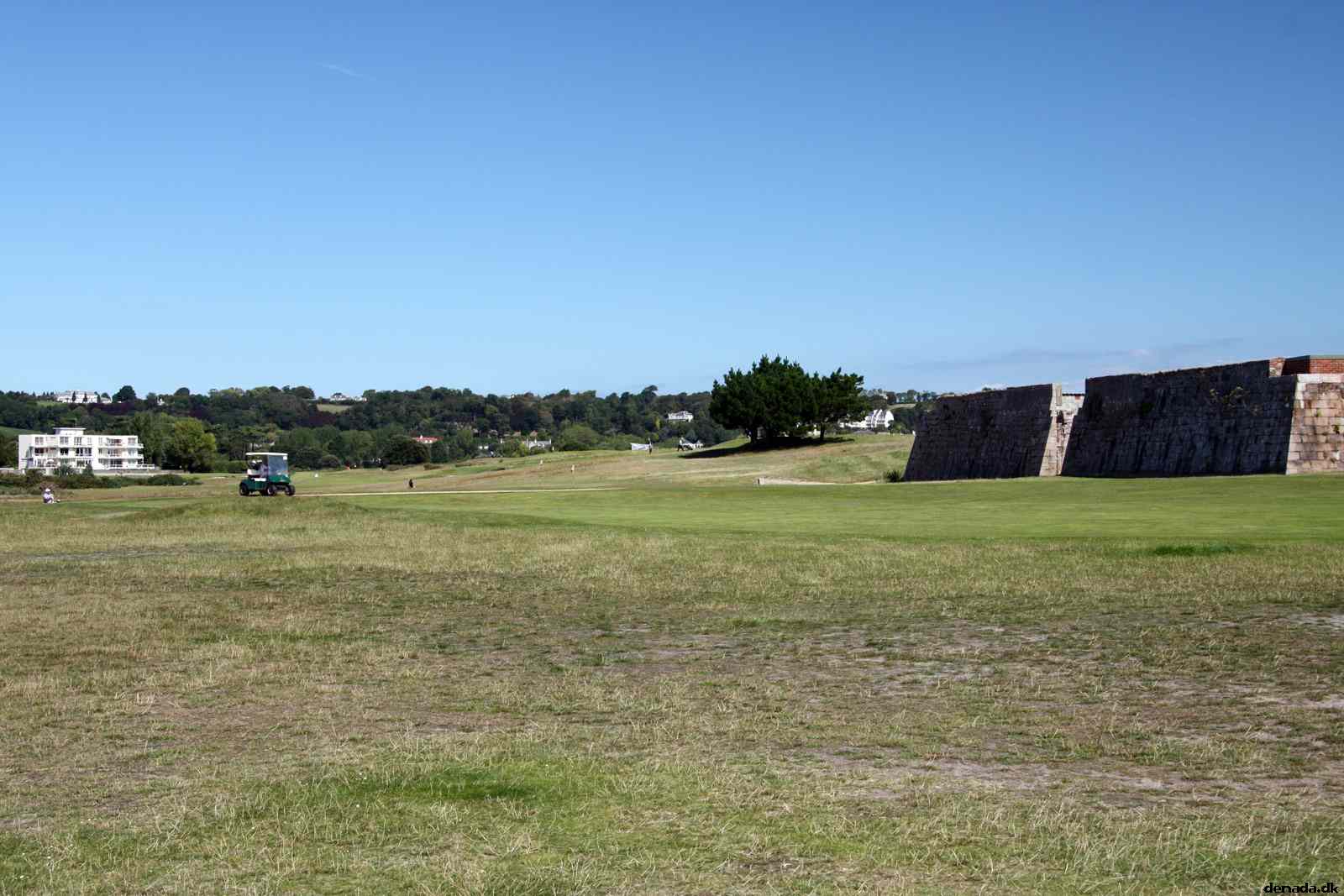 * Image 66