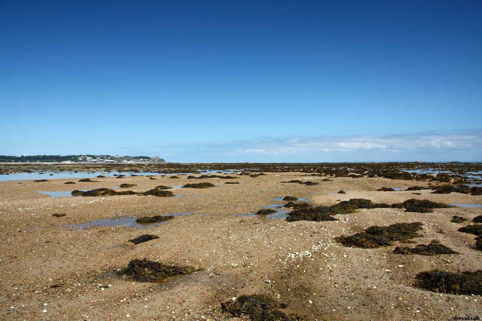 * Image 82