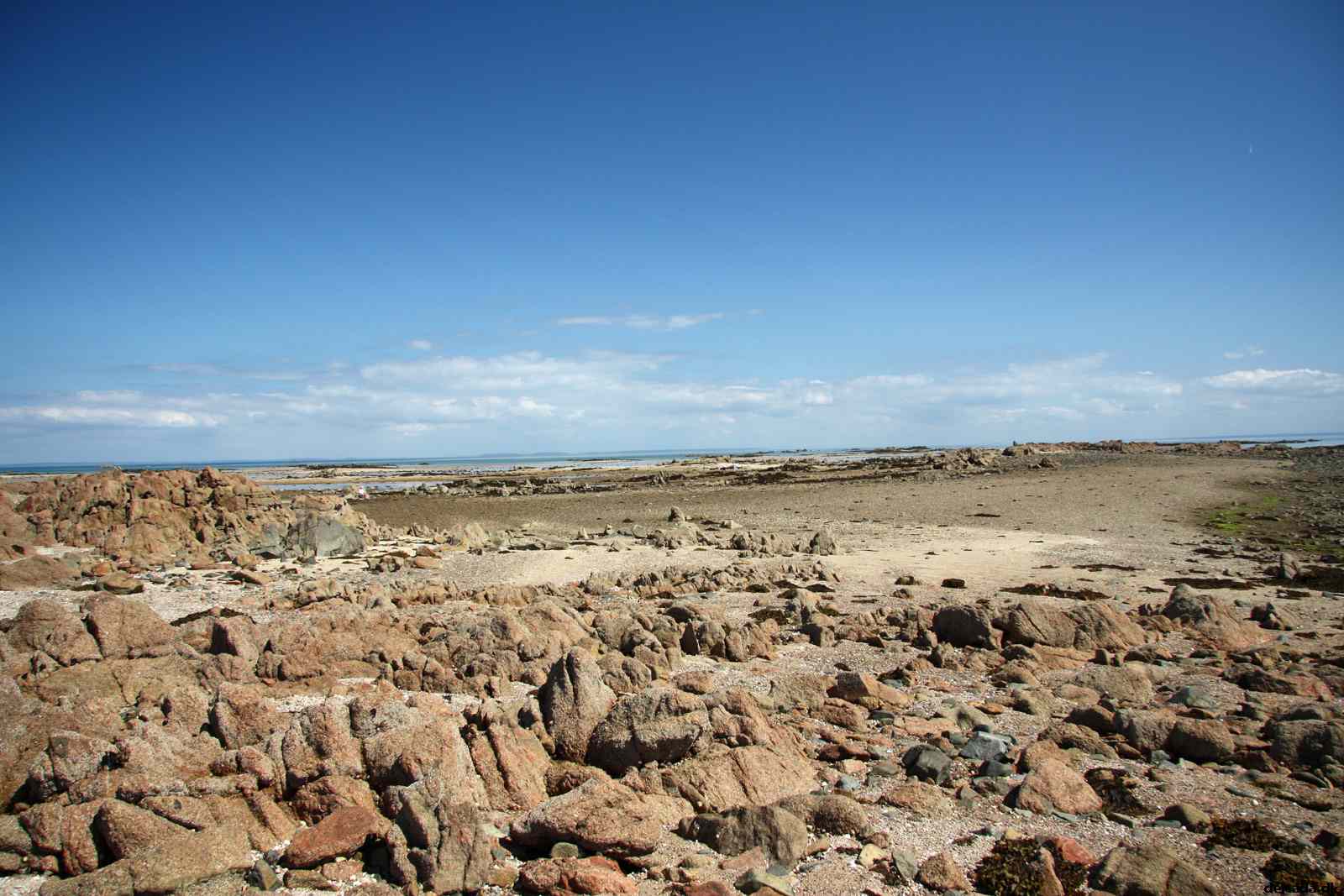 * Image 106