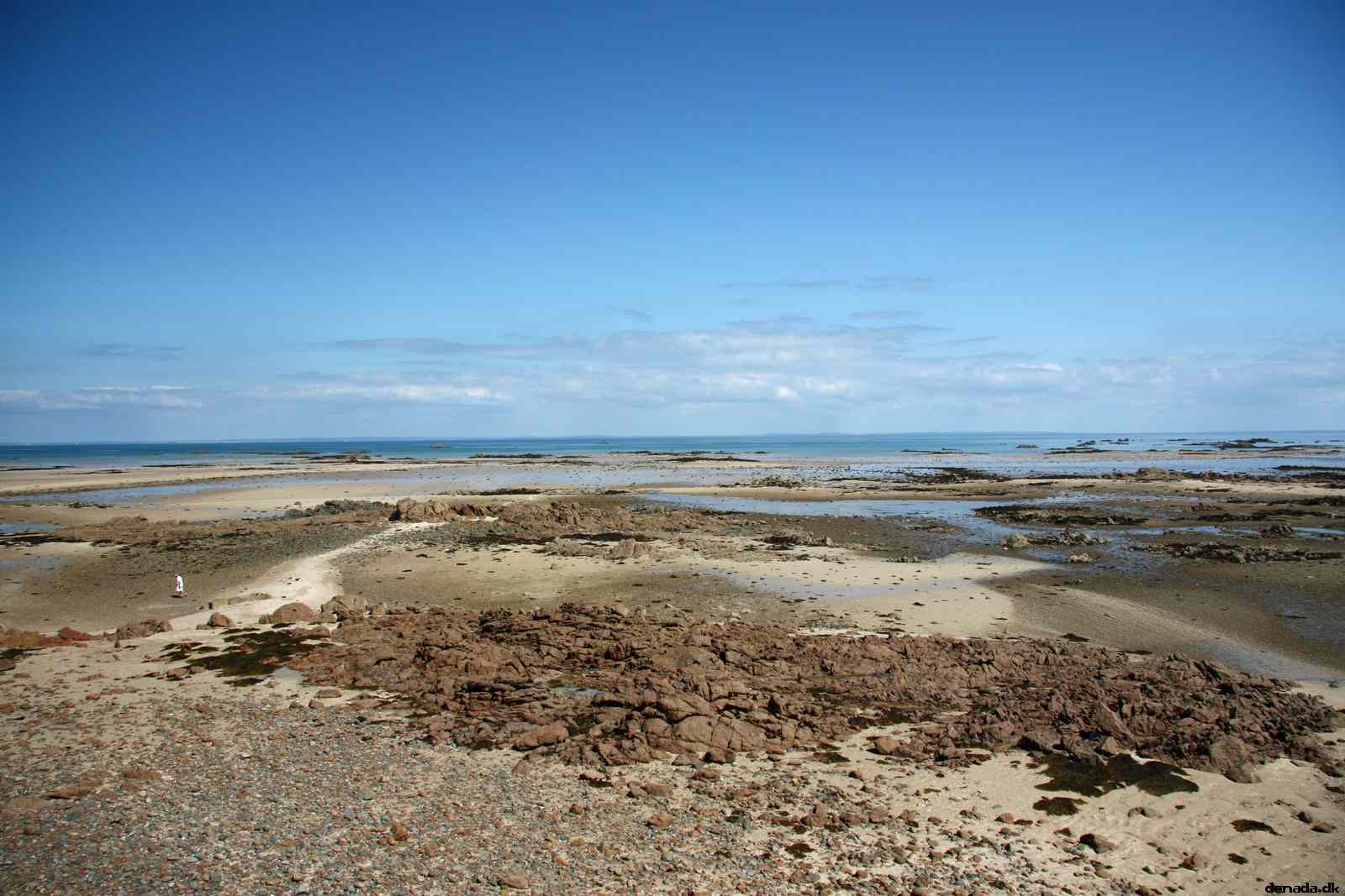 * Image 113