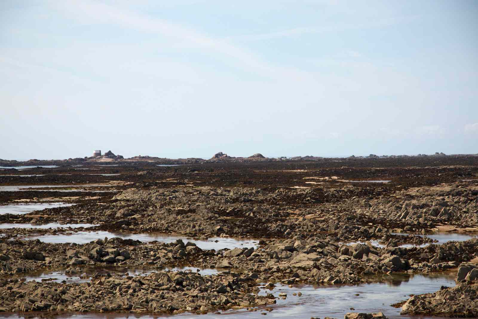 * Image 121