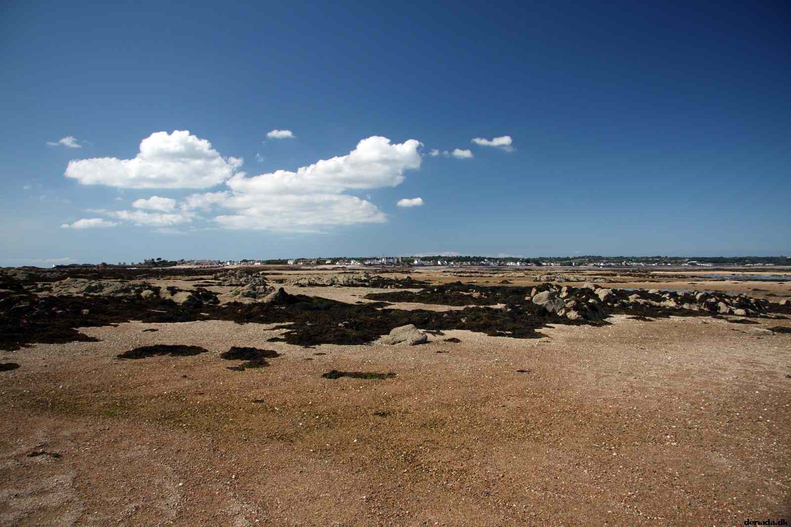 * Image 135