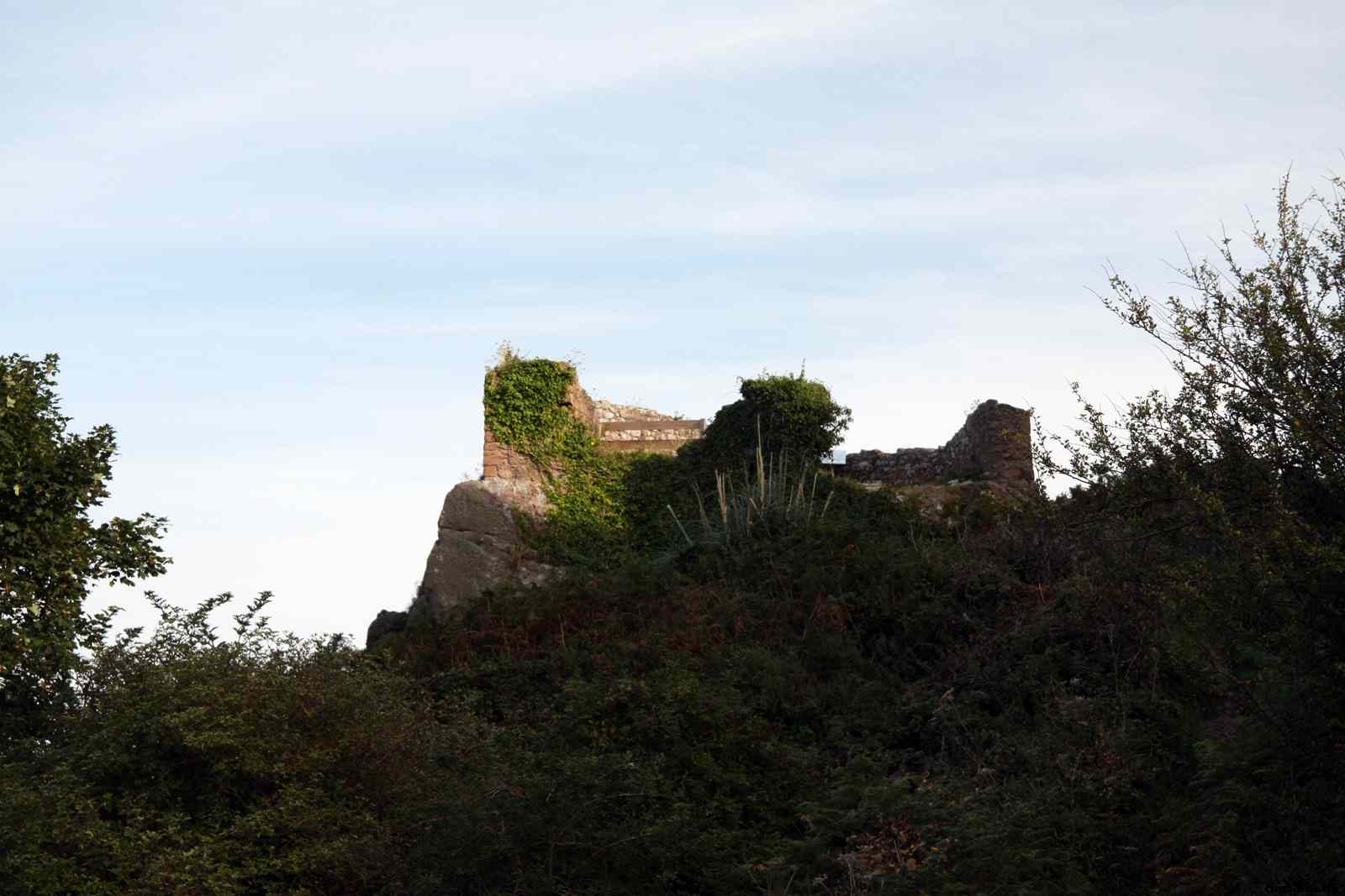 * Image 171
