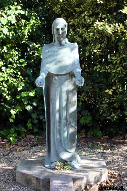 * Image 3