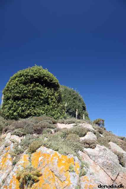 * Image 50